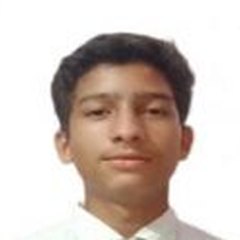 Mayank Singh Rajput